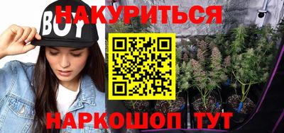 PSILOCYBIN Гатчина
