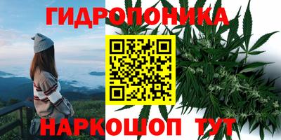 PSILOCYBIN Гатчина