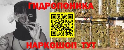 PSILOCYBIN Гатчина