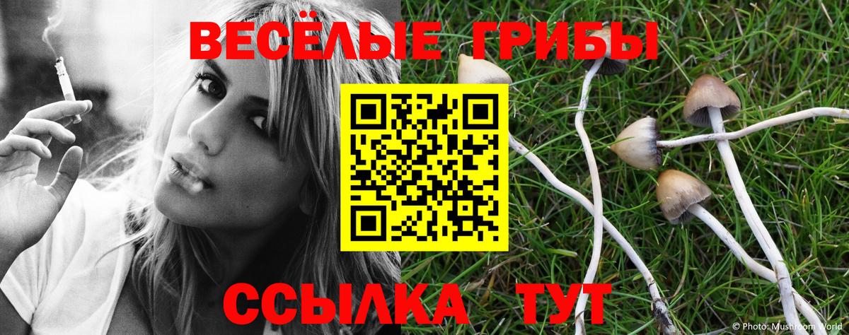 Галлюциногенные грибы мухоморы  как найти наркотики  Вход с VPN  Ногинск  Галлюциногенные грибы Magic Shrooms 