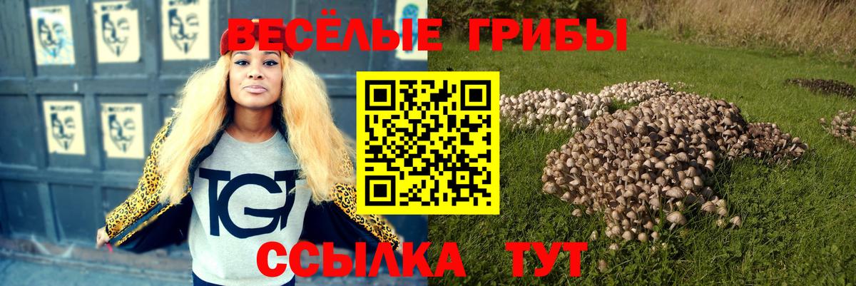 Псилоцибиновые грибы MAGIC MUSHROOMS Ногинск