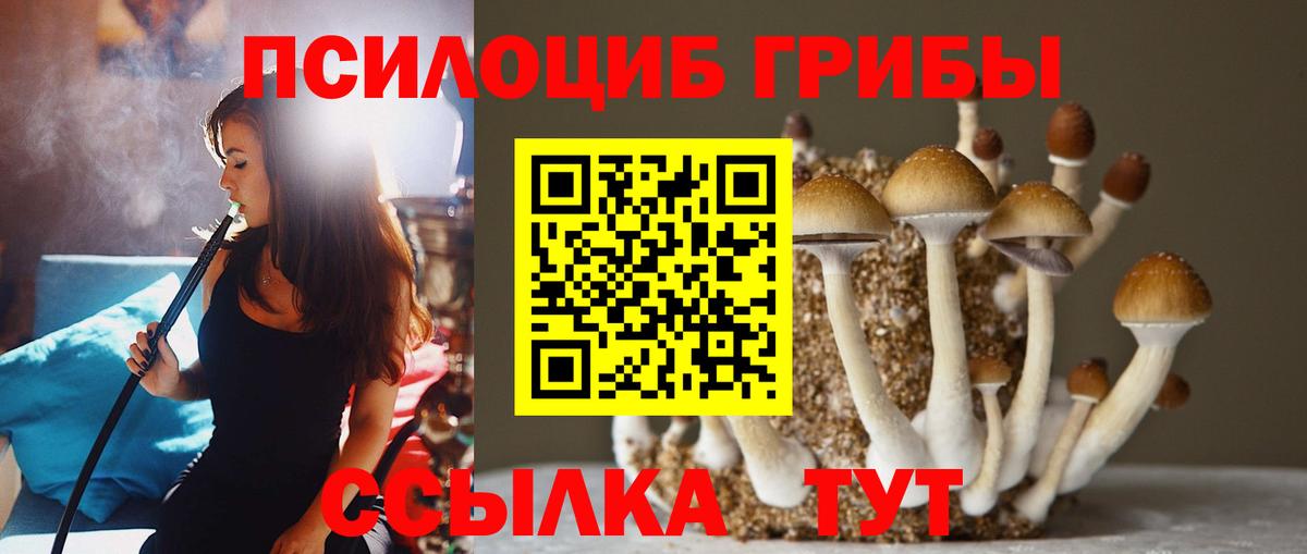 Псилоцибиновые грибы мухоморы  Псилоцибиновые грибы Psilocybine cubensis  Ногинск 